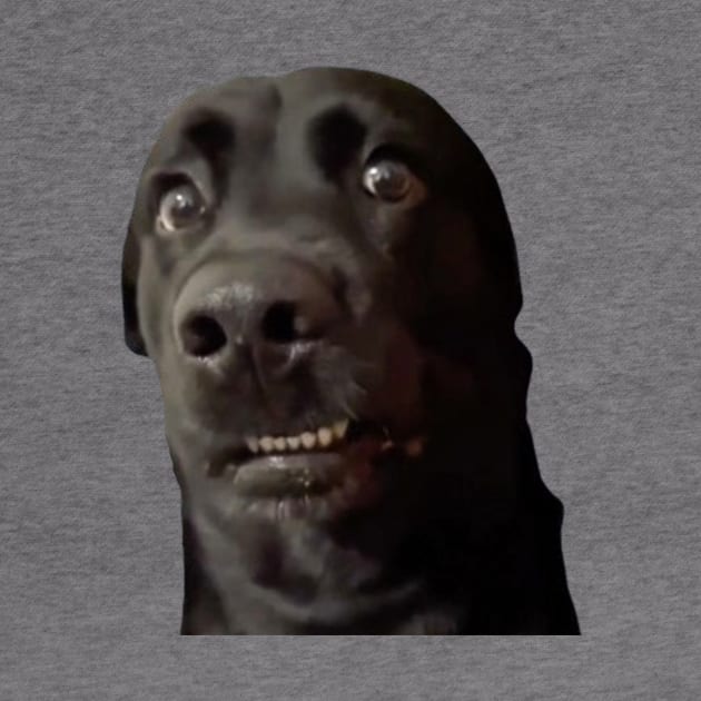 Confused Dogs Shirt, Awkward Dogs, Awkward Staring, Two Dogs Staring Matching by CamavIngora